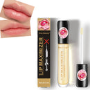 Winter Moisturizing Lip Plumper Lip Plumper Repairing Reduce Lip Mask Fine Lines Brighten Lip Color Lip Plumper Oil Lip Care