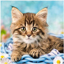 Full Round Diamond 5D diamond painting animal tiger fox diamond embroidery kit mosaic painting diy children gift