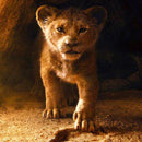 Full Round Diamond 5D diamond painting animal tiger fox diamond embroidery kit mosaic painting diy children gift