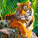 Full Round Diamond 5D diamond painting animal tiger fox diamond embroidery kit mosaic painting diy children gift