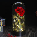 Beauty And The Beast Rose Rose In LED Glass Dome Forever Rose Red Rose Valentine's Day Mother's Day Special Romantic Gift