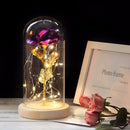 Beauty And The Beast Rose Rose In LED Glass Dome Forever Rose Red Rose Valentine's Day Mother's Day Special Romantic Gift