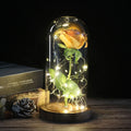 Beauty And The Beast Rose Rose In LED Glass Dome Forever Rose Red Rose Valentine's Day Mother's Day Special Romantic Gift