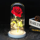 Beauty And The Beast Rose Rose In LED Glass Dome Forever Rose Red Rose Valentine's Day Mother's Day Special Romantic Gift