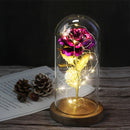 Beauty And The Beast Rose Rose In LED Glass Dome Forever Rose Red Rose Valentine's Day Mother's Day Special Romantic Gift
