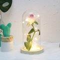 Beauty And The Beast Rose Rose In LED Glass Dome Forever Rose Red Rose Valentine's Day Mother's Day Special Romantic Gift