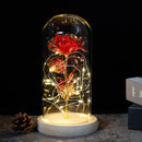 Beauty And The Beast Rose Rose In LED Glass Dome Forever Rose Red Rose Valentine's Day Mother's Day Special Romantic Gift