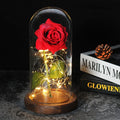 Beauty And The Beast Rose Rose In LED Glass Dome Forever Rose Red Rose Valentine's Day Mother's Day Special Romantic Gift