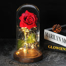 Beauty And The Beast Rose Rose In LED Glass Dome Forever Rose Red Rose Valentine's Day Mother's Day Special Romantic Gift