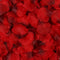 2000 Pcs Artificial Rose Petals Wedding Petalas Colorful Silk Flower Accessories