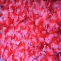 2000 Pcs Artificial Rose Petals Wedding Petalas Colorful Silk Flower Accessories