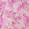 2000 Pcs Artificial Rose Petals Wedding Petalas Colorful Silk Flower Accessories