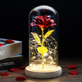 Beauty And The Beast Rose Rose In LED Glass Dome Forever Rose Red Rose Valentine's Day Mother's Day Special Romantic Gift