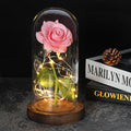 Beauty And The Beast Rose Rose In LED Glass Dome Forever Rose Red Rose Valentine's Day Mother's Day Special Romantic Gift