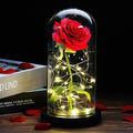 Beauty And The Beast Rose Rose In LED Glass Dome Forever Rose Red Rose Valentine's Day Mother's Day Special Romantic Gift