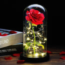 Beauty And The Beast Rose Rose In LED Glass Dome Forever Rose Red Rose Valentine's Day Mother's Day Special Romantic Gift