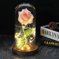 Beauty And The Beast Rose Rose In LED Glass Dome Forever Rose Red Rose Valentine's Day Mother's Day Special Romantic Gift