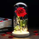 Beauty And The Beast Rose Rose In LED Glass Dome Forever Rose Red Rose Valentine's Day Mother's Day Special Romantic Gift