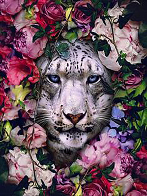 LZAIQIZG Full Square Diamond Embroidery DIY Diamond Painting Cross Stitch Drill Tiger Lion Face& Flowers Picture of Rhinestones