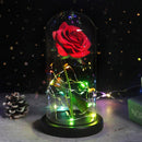 Beauty And The Beast Rose Rose In LED Glass Dome Forever Rose Red Rose Valentine's Day Mother's Day Special Romantic Gift