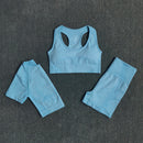 WAREBALL Seamless 3pcs Women Yoga Set Workout Bra Crop Top Short Sleeve T Shirt High Waist Fitness Gym Clothes Sports Suits