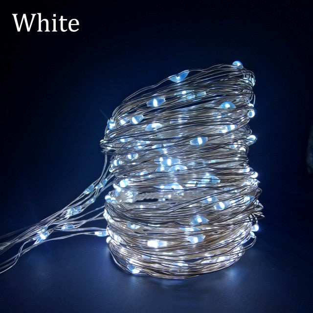LED String Lights Christmas Decoration Remote Control USB Wedding Garland Curtain 3M Lamp Holiday For Bedroom Bulb Outdoor Fairy