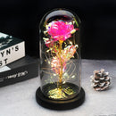 Beauty And The Beast Rose Rose In LED Glass Dome Forever Rose Red Rose Valentine's Day Mother's Day Special Romantic Gift