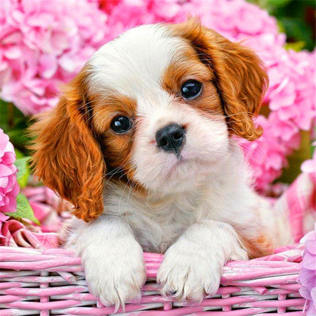 Full Round Diamond 5D diamond painting animal tiger fox diamond embroidery kit mosaic painting diy children gift