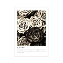 Fashion Flower Woman Poster And Print Coco Quotes Wall Art Canvas Painting Black White Vogue Pictures For Living Room Home Decor