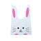 20/50pcs Rabbit Gift Bags Cones Transprant Plastic Bag Carrot Candy Bags Kids Birthday Party Decoration Easter Party Decorations