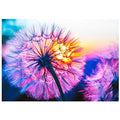 5D Diamond Painting Sunset/Love Beach DIY Round Full Diamond Embroidery Kit Landscape Home Decoration Crafts 30*40cm