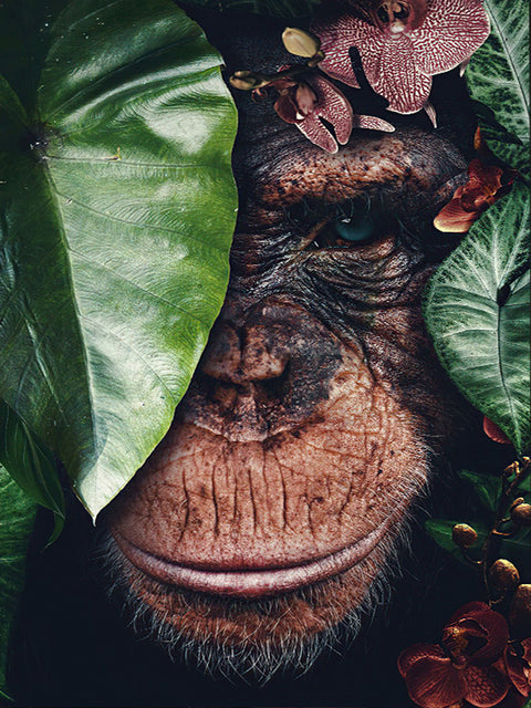 LZAIQIZG Full Square Diamond Embroidery DIY Diamond Painting Cross Stitch Drill Tiger Lion Face& Flowers Picture of Rhinestones