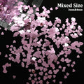 2g Holographic Nail Art Glitter Shiny Sweet Love Heart Flakes Sequins 3D Nails Paillette Manicure Valentine's Day Decorations