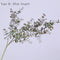45cm Nordic Wind Artificial Plants Bunch Eucalyptus Money Leaf Home Wedding Deco Flower Arrangement Photography Props Gray Green