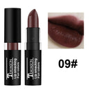 TEAYASON Hot Selling Matte Lipstick Pigmented Maquillaje Moist Lip Tint Easy to Wear Lipsticks Pen Makeup Sexy Lip Cosmetics