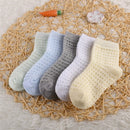 5 Pairs/Lot Children Cotton Socks Boy Girl Baby Infant Ultrathin Fashion Breathable Solid Mesh Socks For Summer 1-12T Teens Kids