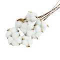 Naturally Dried Cotton Flowers White Home Decorative Artificial Floral Branch Wedding Bridesmaid Bouquet Decor Fake White Flower