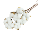Naturally Dried Cotton Flowers White Home Decorative Artificial Floral Branch Wedding Bridesmaid Bouquet Decor Fake White Flower