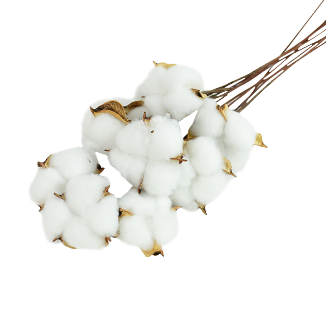 Naturally Dried Cotton Flowers White Home Decorative Artificial Floral Branch Wedding Bridesmaid Bouquet Decor Fake White Flower