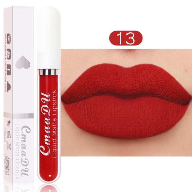 Matte Velvet Lip Glaze Waterproof Lasting Moisturizing And Not Easy To Fade Lip Gloss Lipstick Lips Makeup Cosmetic TSLM1
