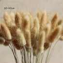 Real Wheat Decoration Natural Pampas Rabbit Tail Grass Dried Flowers For Wedding Party DIY Craft Typha Lagurus ovatus Phragmites