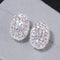 2021 New Arrival Fashion Luxury 925 Sterling Silver Pink CZ Drop Stud Earing  For Women Valentine's Day Gift Z5