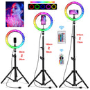 10 Inch Rgb Video Light 16Colors Rgb Ring Lamp For Phone With Remote Camera Studio Large Light Led 48" Stand 160Cm For Youtuber