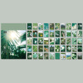 366 pcs/natural scenery stationery stickers book aestheti butterfly cute bullet journaling korean stationery aesthetic stickers