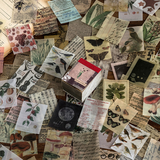 366 pcs/natural scenery stationery stickers book aestheti butterfly cute bullet journaling korean stationery aesthetic stickers