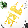 Embroidery Sexy Lingerie Women Thin Transparent Lace Push up Bra Set  Bra+Garters+Thong 3 Piece Set See Through Underwear