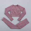 Seamless Women  yoga set Workout Gym Long Sleeve Fitness Crop Top High Waist Leggings Sport Clothing Suits
