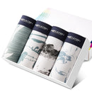 4Pcs/Lot Men's Panties Boxer Print Underwear Cotton Shorts For Male Couple Sexy Set Calecon Large Size Underpants L-5XL