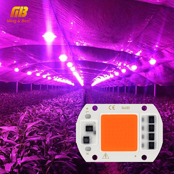 LED Grow COB Chip Phyto Lamp Full Spectrum AC220V 10W 20W 30W 50W For Indoor Plant Seedling Grow and Flower Growth Fitolamp