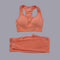 Women Seamless Long Sleeve Yoga Set 2 Piece Sports Bra Top+Pants Sportswear Tracksuit Gym Fitness Leggings Costume Jogging Suit